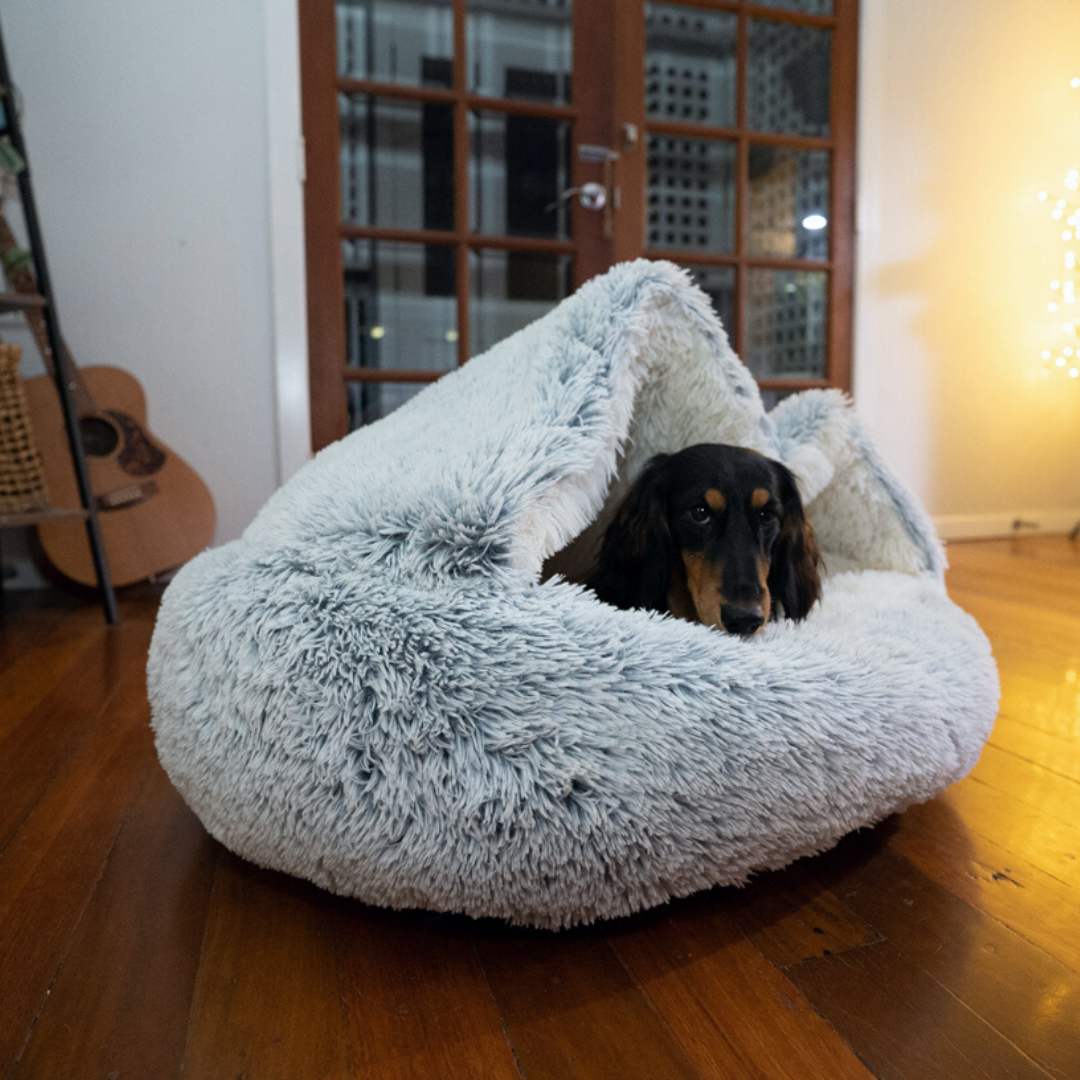Fsyser™ Winter Pet Plush