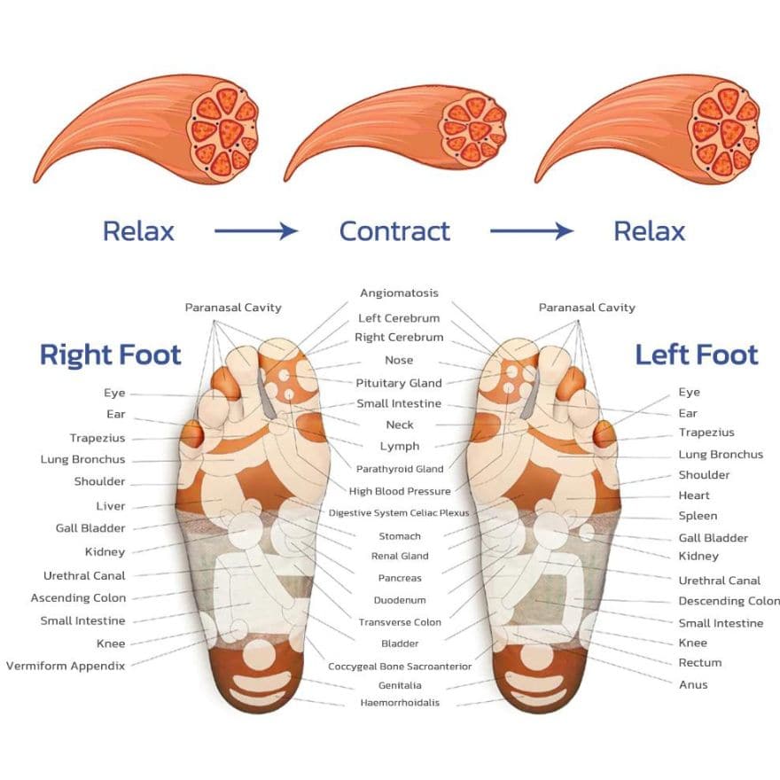 Foot Massager - For Lasting Foot Pain Relief