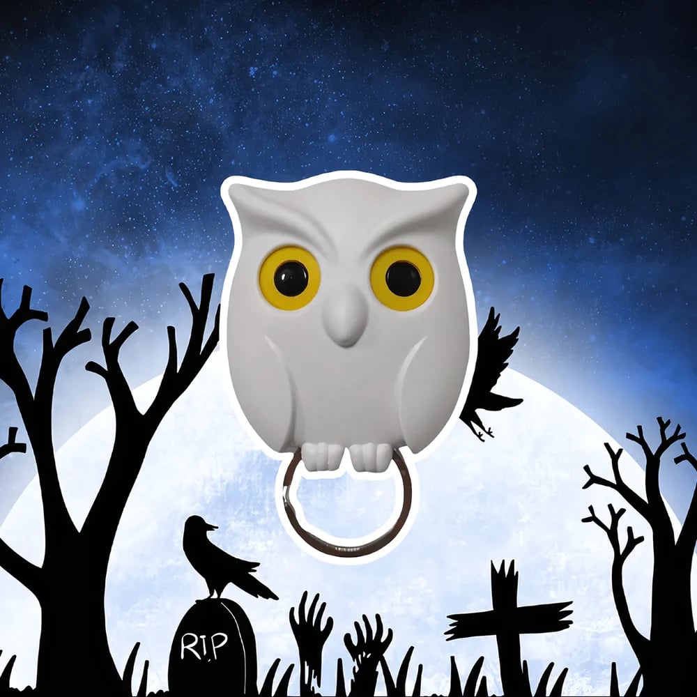 Night Owl Magnetic Wall Key Holder