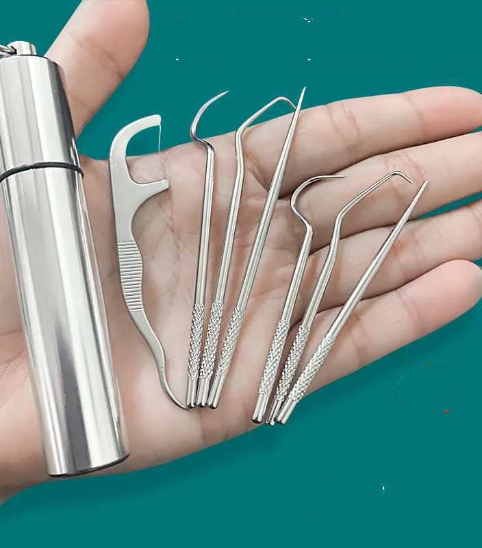 Stainless Steel Toothpick Tool